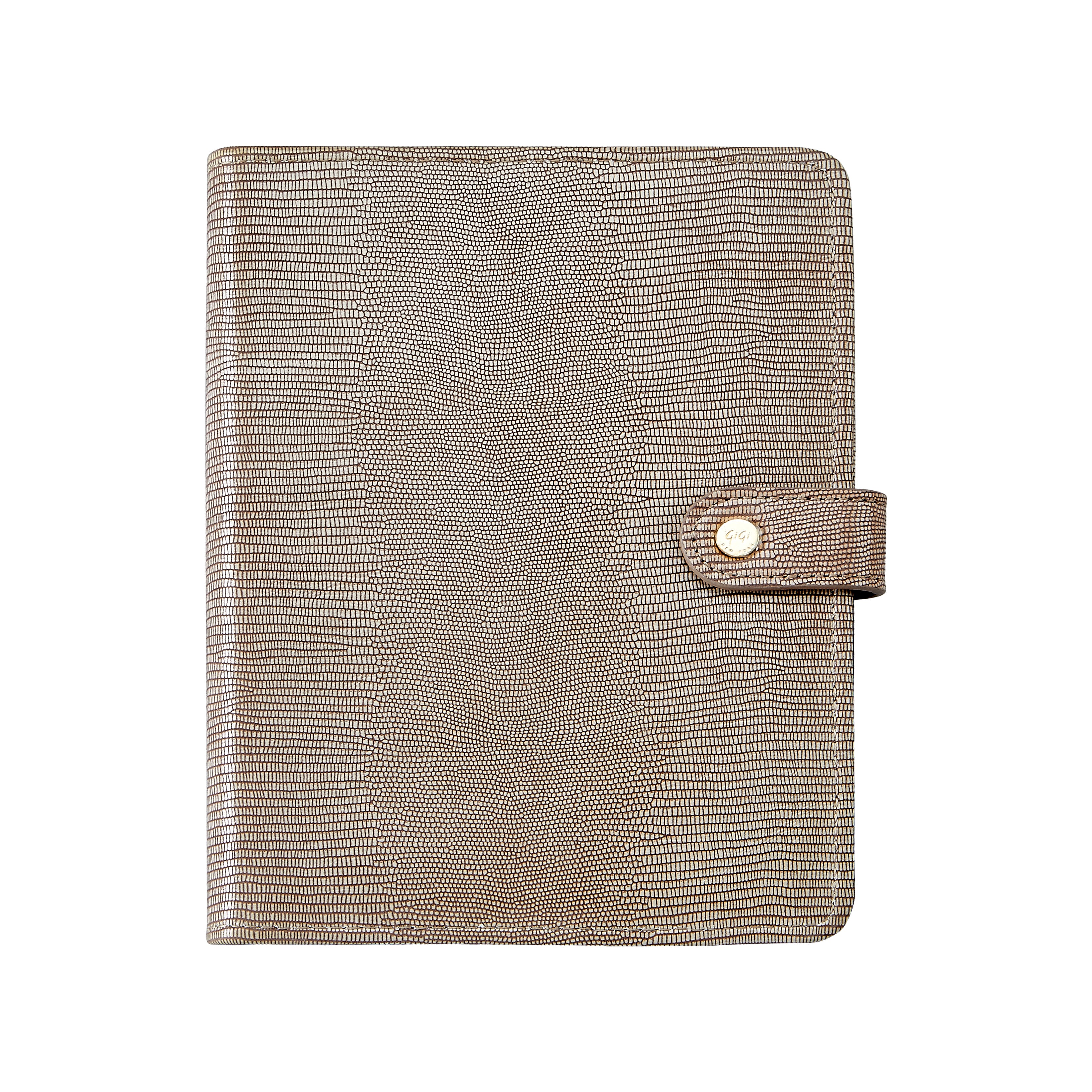 iPad Mini Case