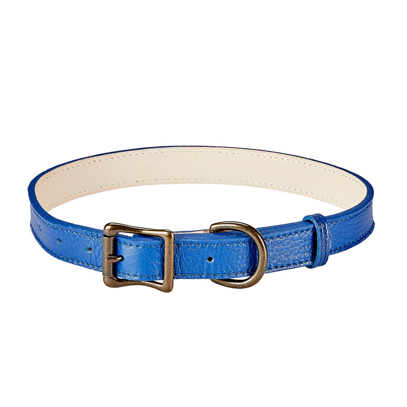 Large on sale dog collars